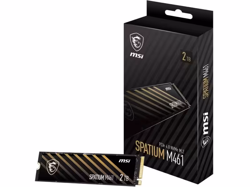 اس اس دی اینترنال NVMe M.2 ام اس آی مدل M461 ظرفیت 2 ترابایت