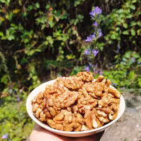 گردو اعلا تویسرکان (1000 گرم)