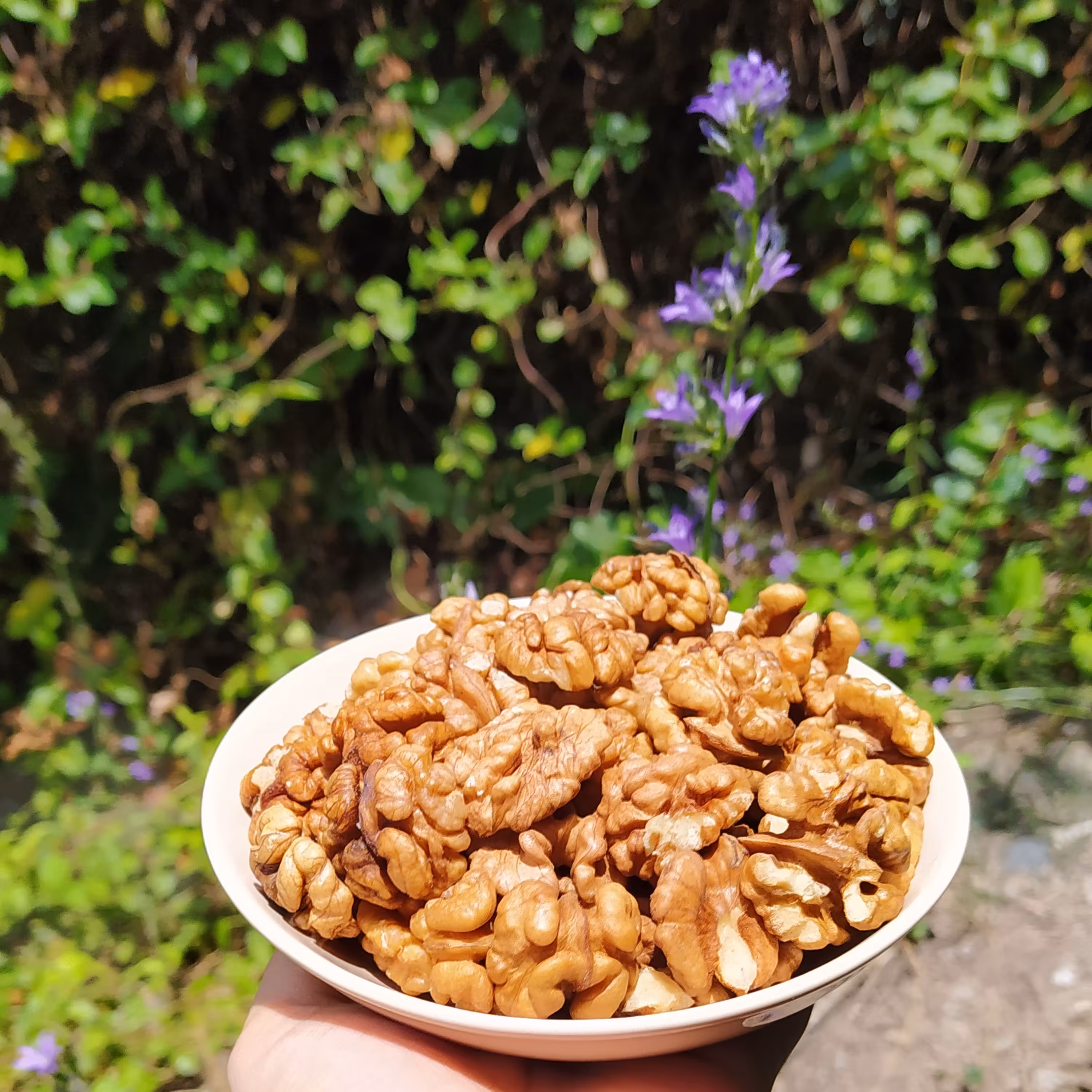 گردو اعلا تویسرکان (1000 گرم)