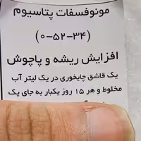 تغدیه مونوفسفات و پتاسیوم . موثر برای افزایش ریشه و پاجوش . 0-52-34  