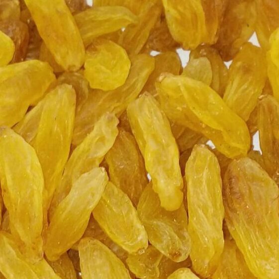 کشمش طلایی درجه یک