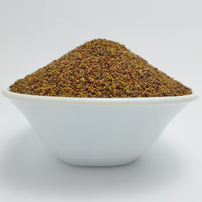 بذر شبدر  ( Red Clover )  ( Trifolium Pratense ) 100 گرم