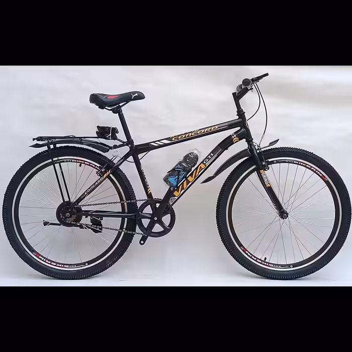 دوچرخه 24 تک سرعت ترکبنددار  