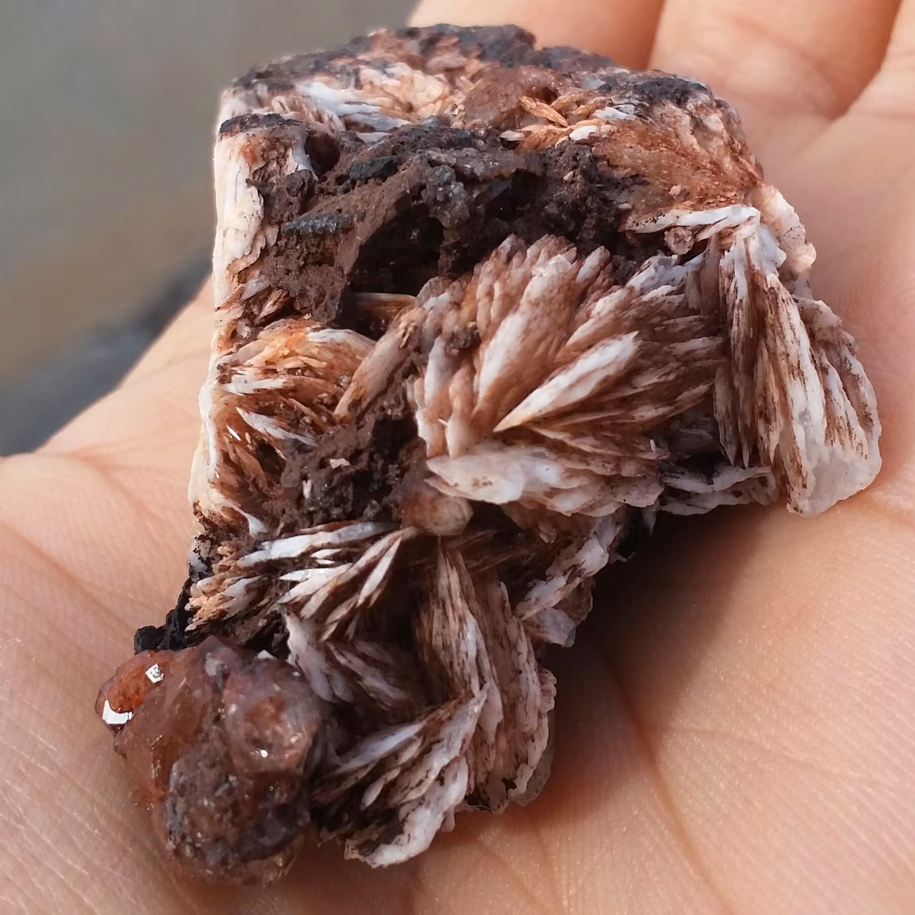 نمونه فوق کلکسیونی آنالیسم پر بلور روی بستر باریت محشر بسیااااار زیبا 100 در 100 طبیعی خارق العاده و تک
کد 8317
