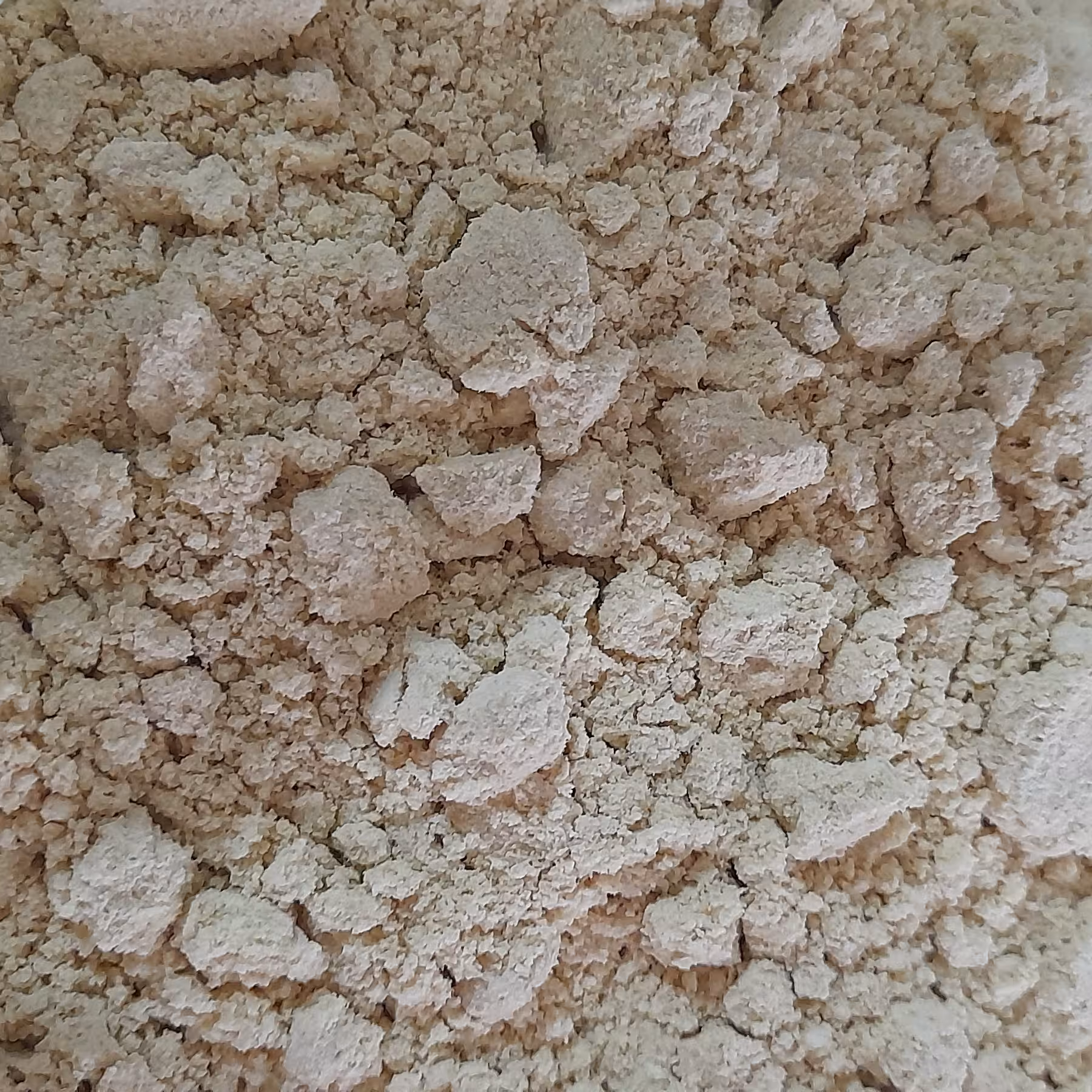 پودر جوانه گندم 250 گرم کیفیت عالی