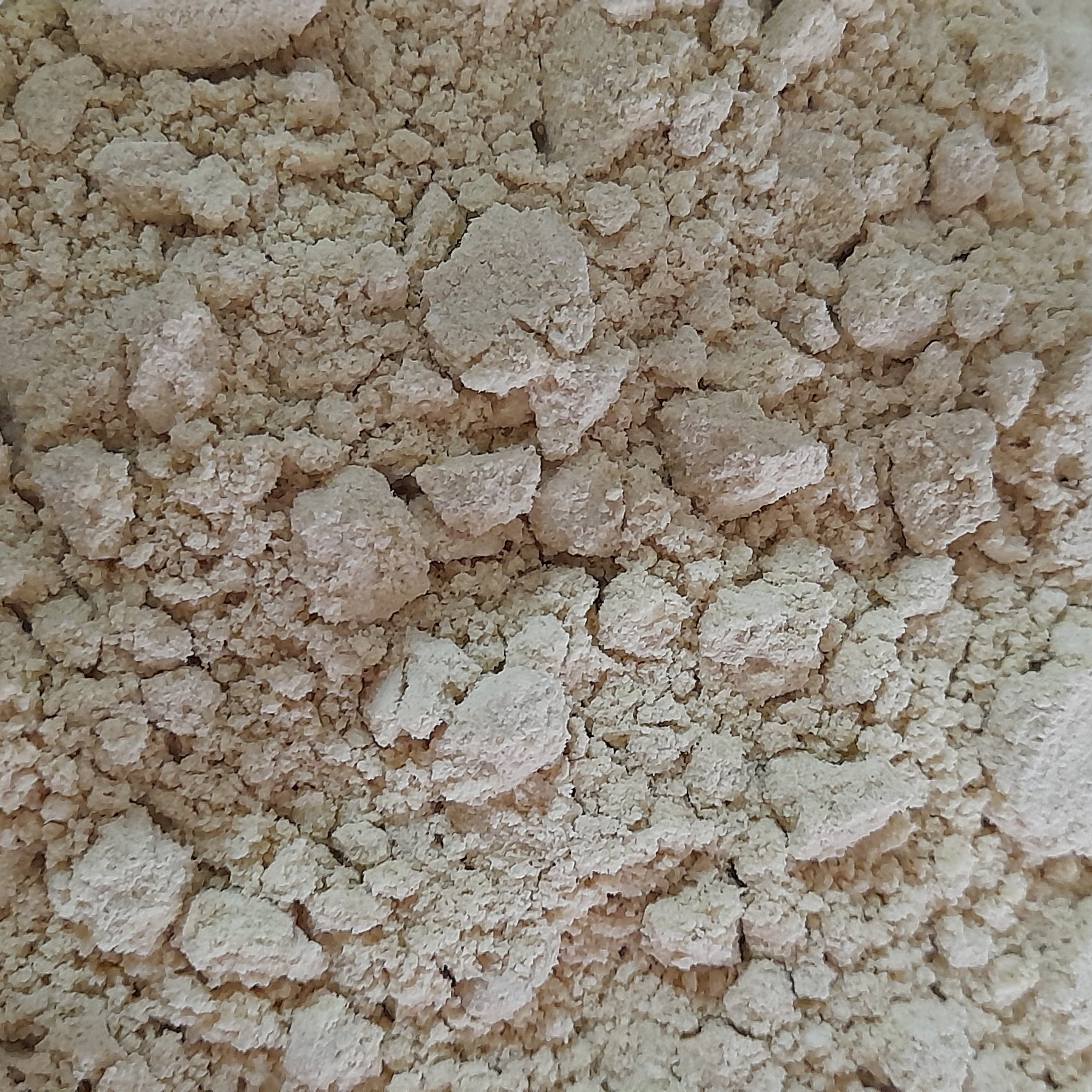 پودر جوانه گندم 250 گرم کیفیت عالی