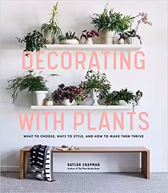 󾕇 دانلود کتاب Decorating With Plants - What To Choose, Ways To Style, And How To Make Them Thrive, 2019 - دانلود کتاب های دانشگاهی