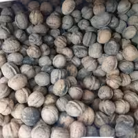 گردو ایرانی(یک کیلو گرم)