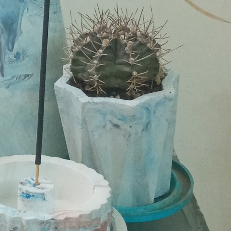 گلدان 