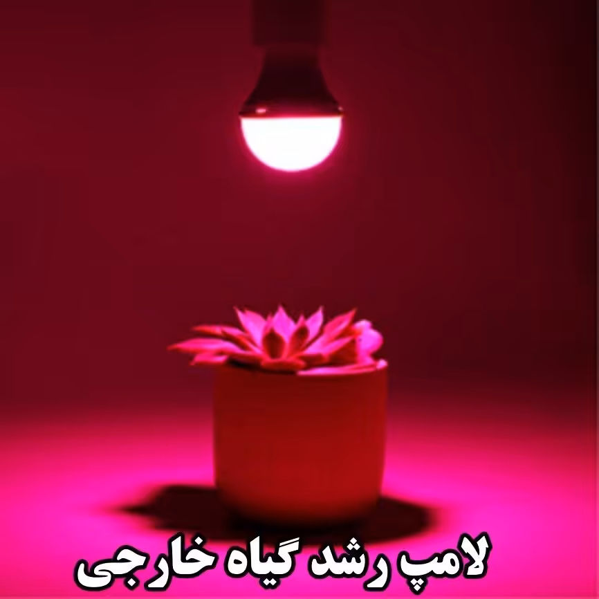 لامپ رشد گیاه حبابی 6وات- باکیفیت مطلوب و زاویه 240درجه مناسب رشد گیاهان