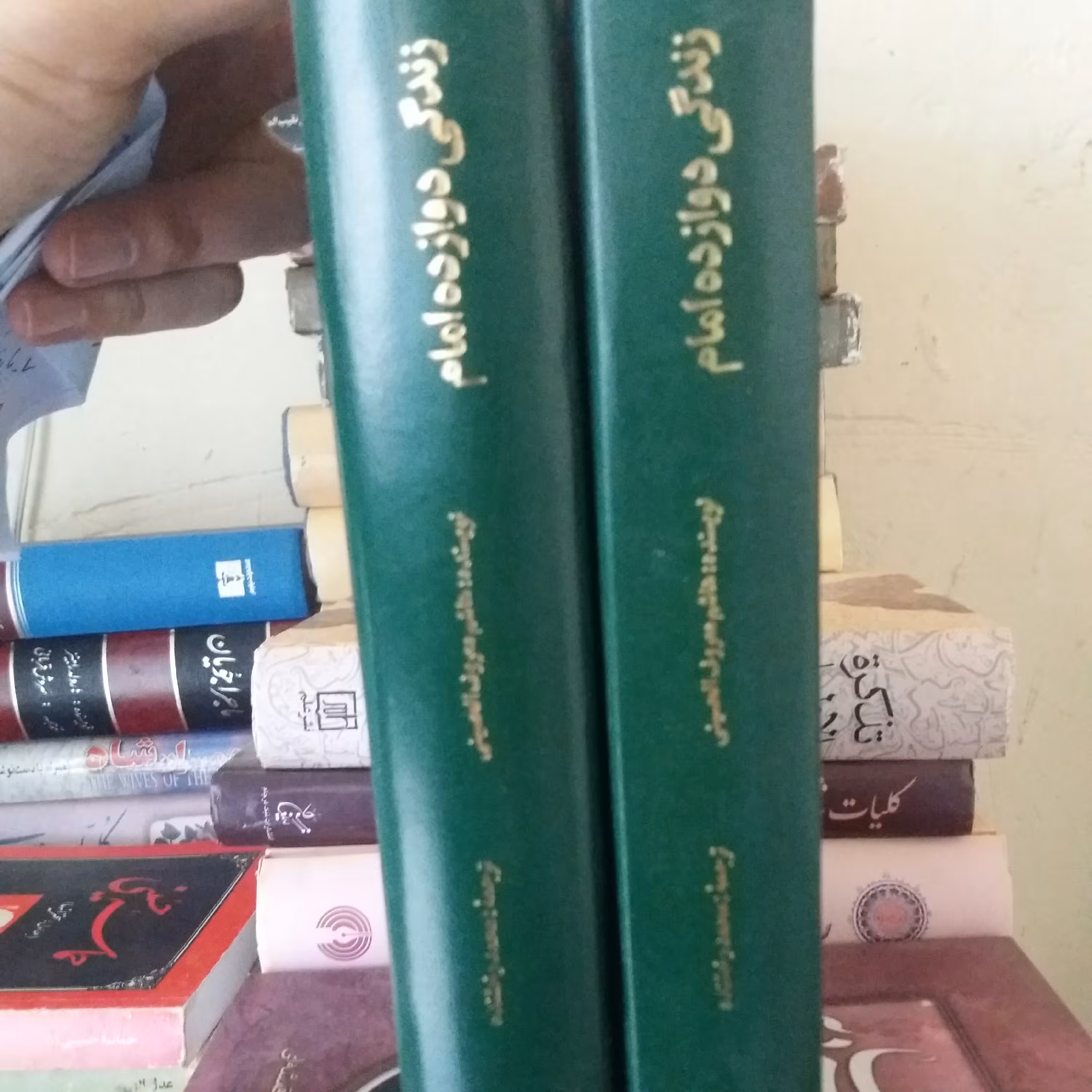 کتاب زندگانی دوازده امام. هاشم معروف الحسینی