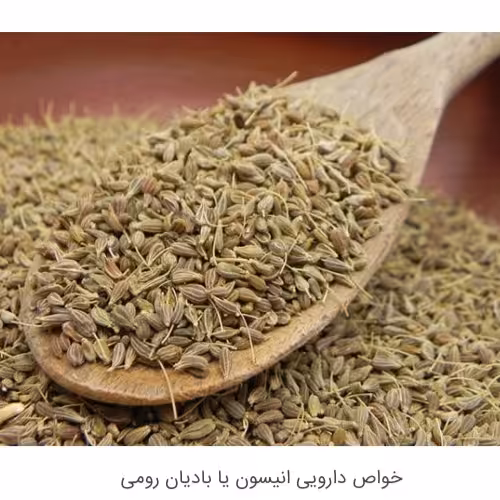 انیسون 50 گرم بهبود علائم یائسگی