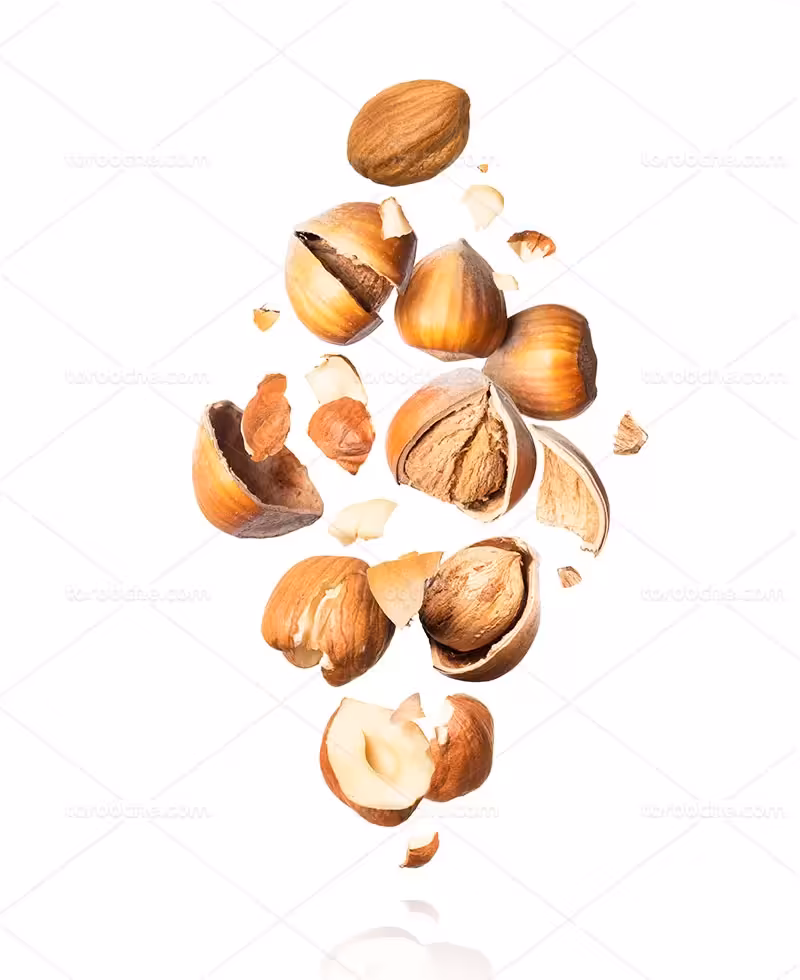 عکس فندق | گرافیک با طعم تربچه