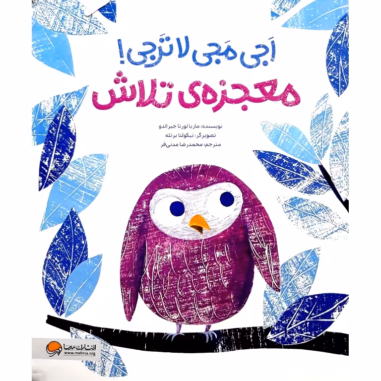 اجی مجی لاترجی! معجزه ی تلاش