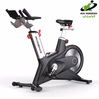 دوچرخه اسپینینگ بی نظیر s300 برند فونیکس - قیمت و خرید
