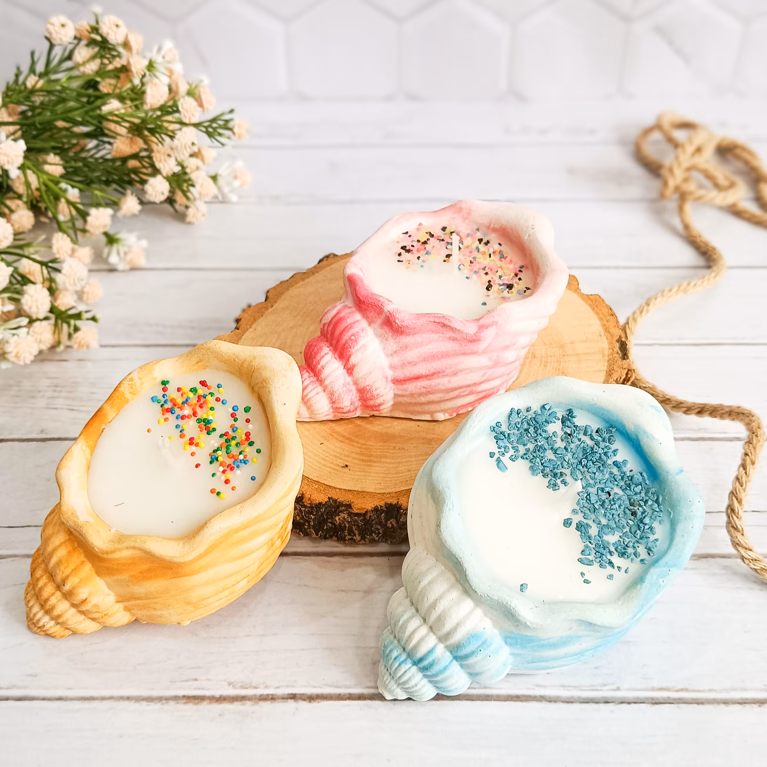 شمع سفید دربتن های صدف وحلزونی در سه رنگ سفید وآبی سفید وزرد وسفید وصورتی