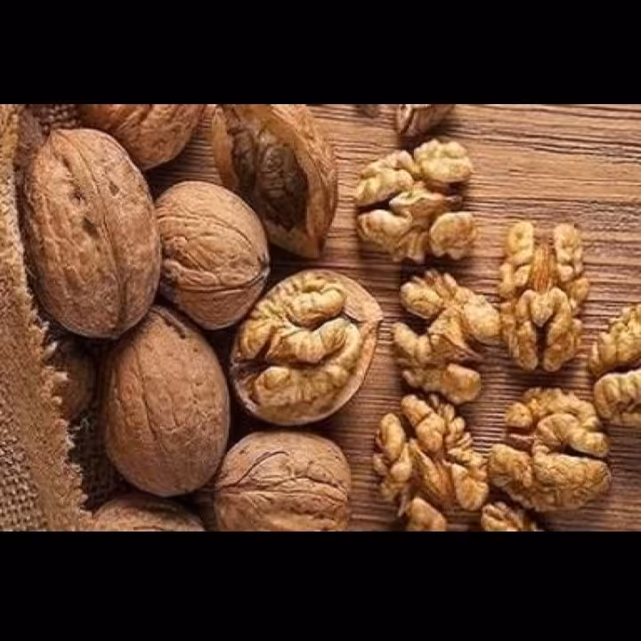 گردو کاغذی کد 104