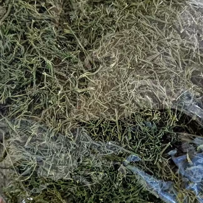 شوید خشک پفکی سبز بدون چوب از مزارع شهریار