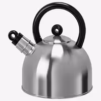 کتری استیل ایکیا IKEA-VATTENTÄT