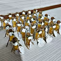 گیفت شاخه نبات عروس و عقد و نامزدی سایز کوچک وبزرگ با آویز اسم 