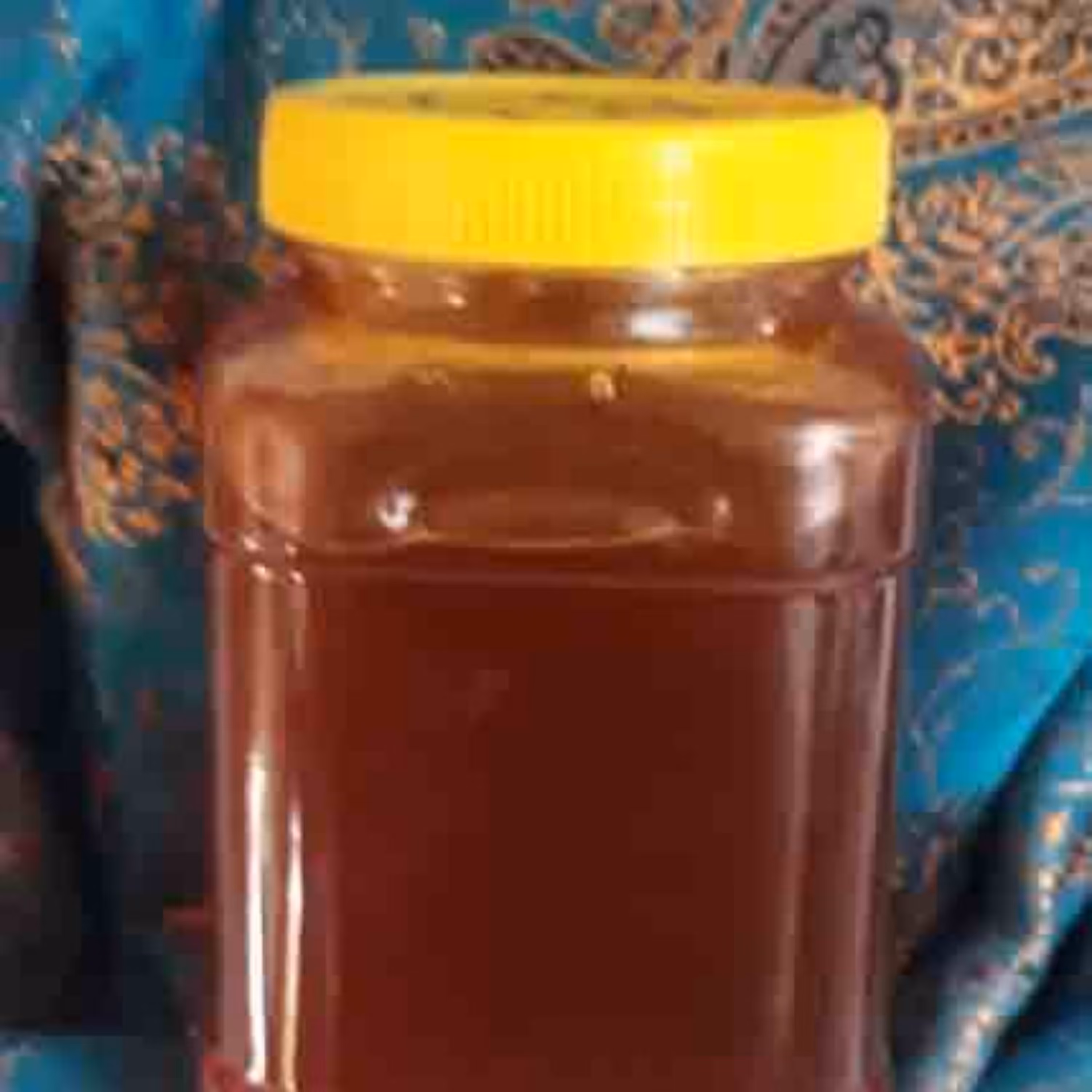 عسل جنگلی (( اکالیپتوس خالص ))