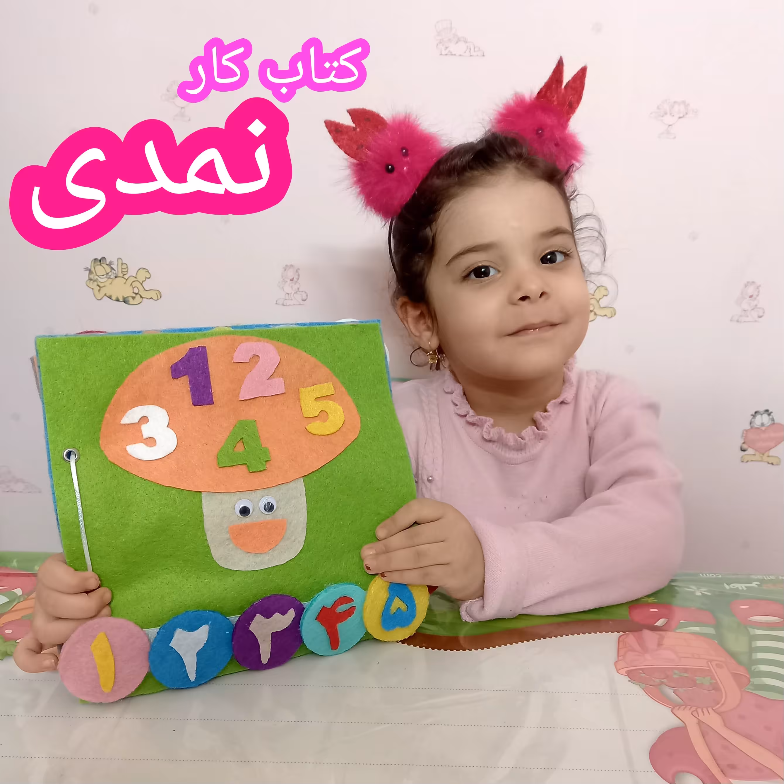 کتاب نمدی اعداد و ریاضی