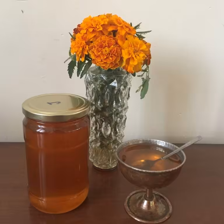 عسل کلزا محصول جنوب ایران اهواز (مستقیم از زنبوردار)
