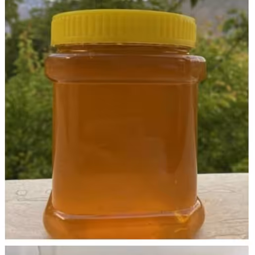 عسل بی موم اصل و خالص