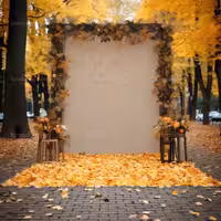 بک دراپ عکاسی با برگ های نارنجی و زرد | گرافیک با طعم تربچه