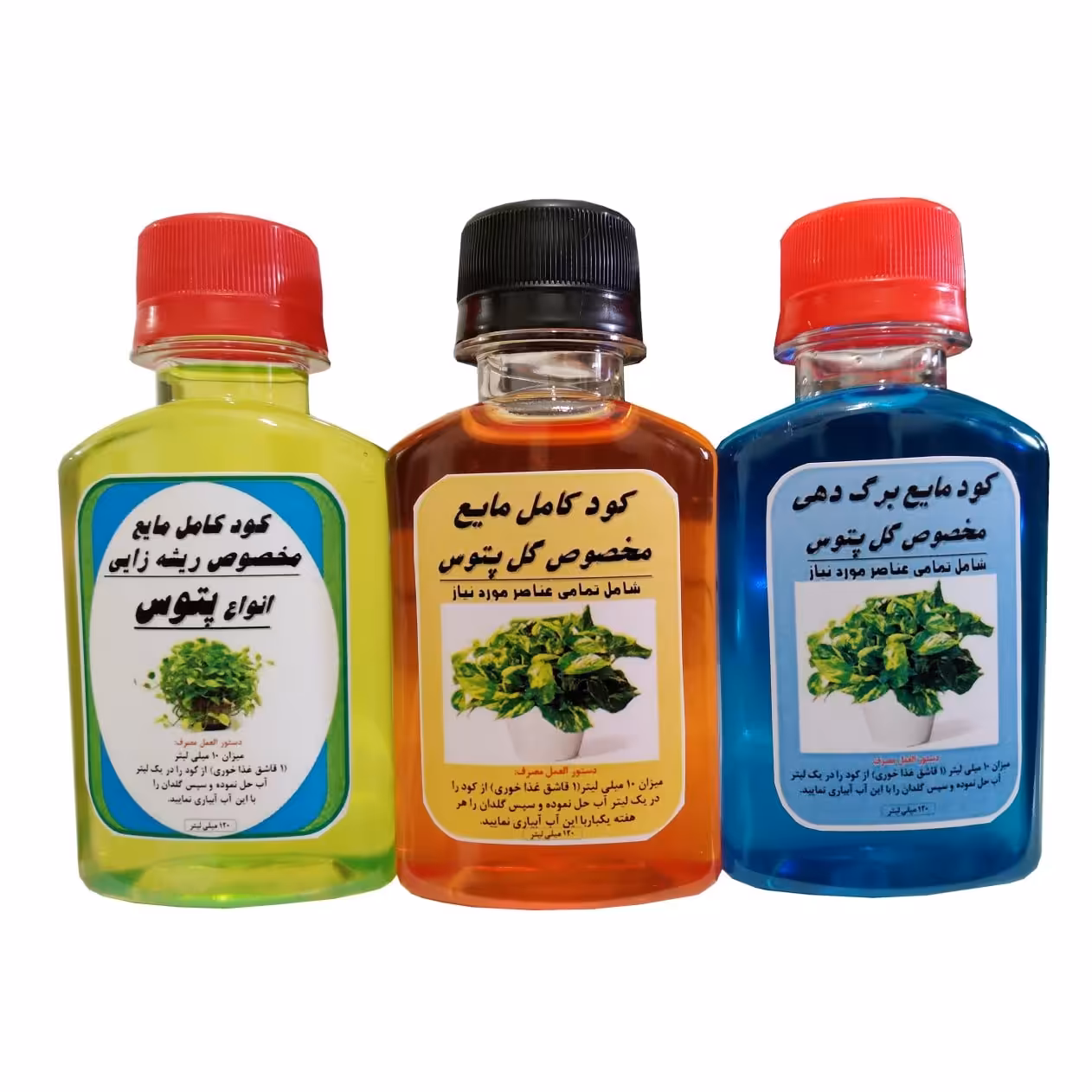 پک کودی پتوس، سه مرحله ای،