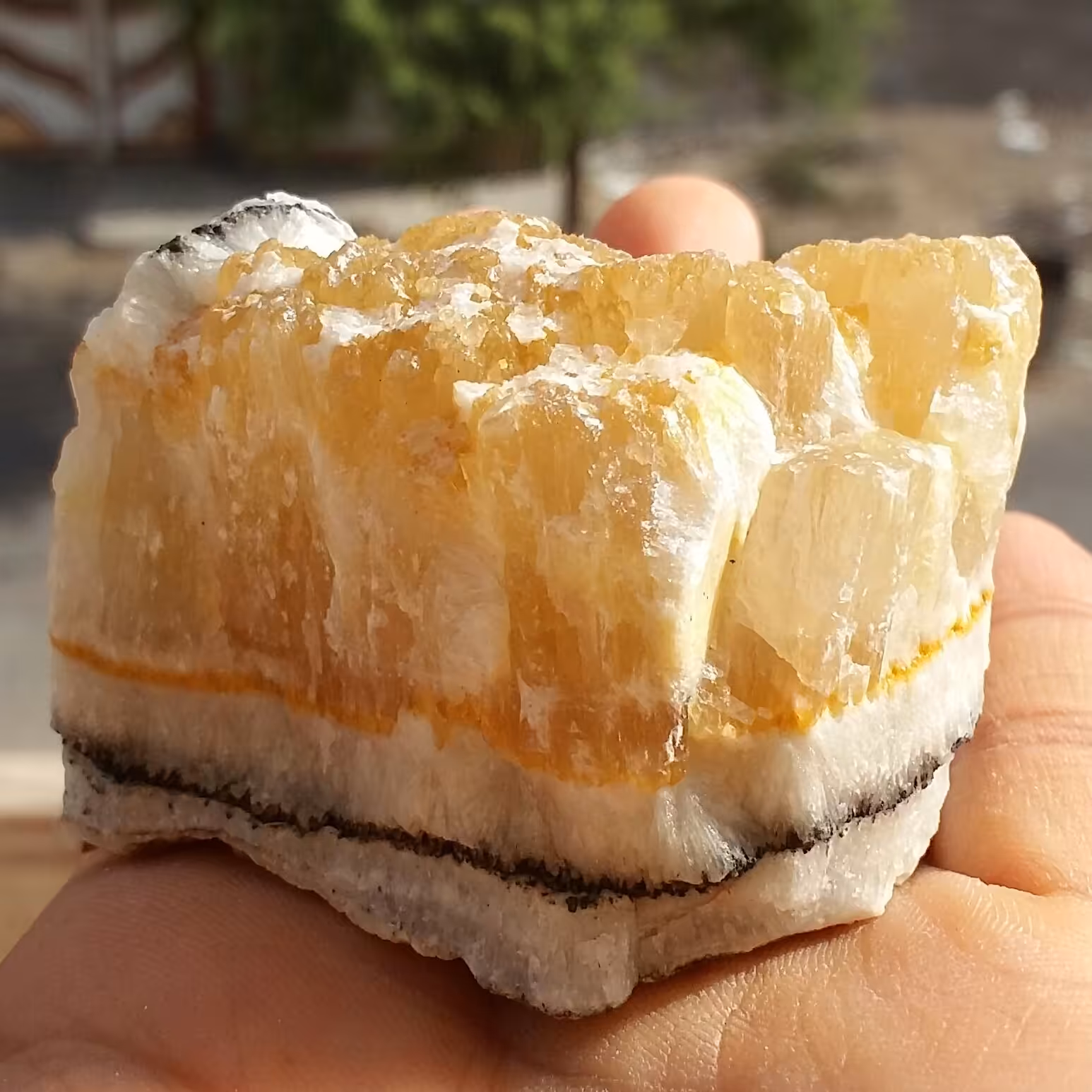 سنگ راف کلکسیونی کلسیت زرد نباتی خارق العاده زیبا 100 در 100 طبیعی شاااهکار خلقت
کد 10374