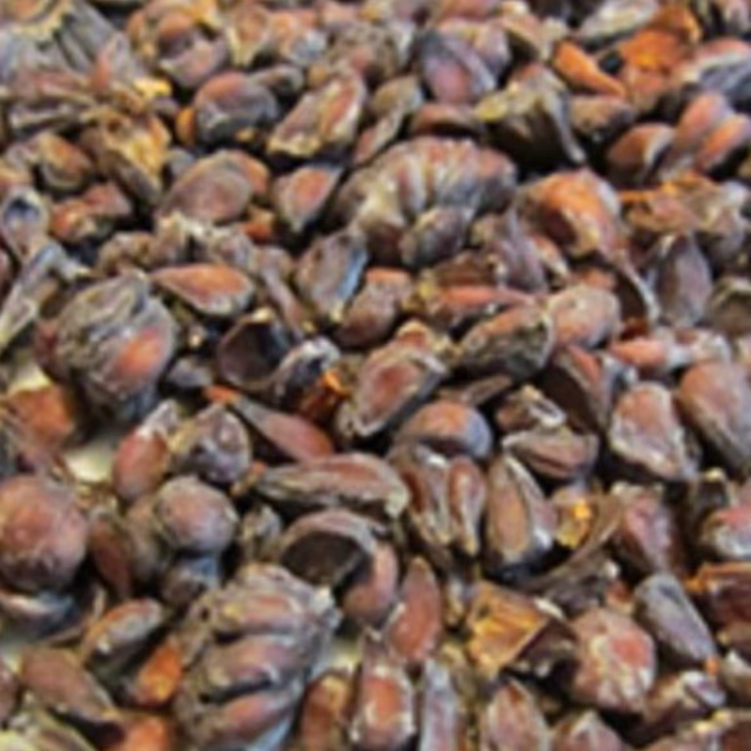 بهدانه  30 گرمی اعلا عطاری ابن سینا رحیم آباد