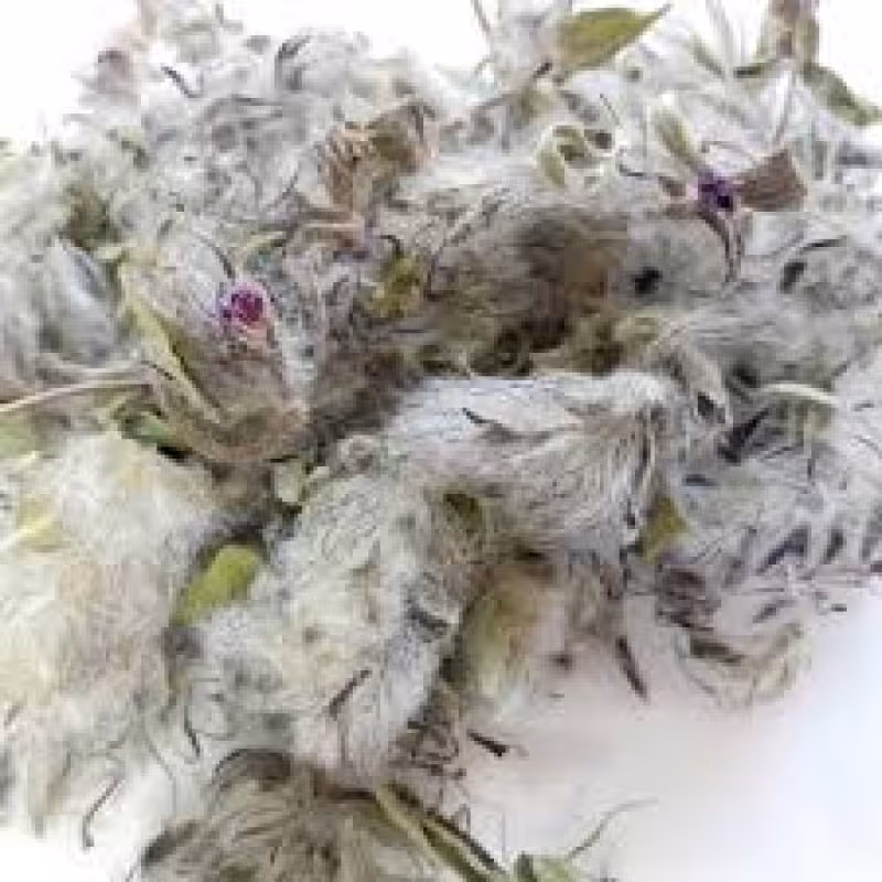 چای کوهی،50 گرم