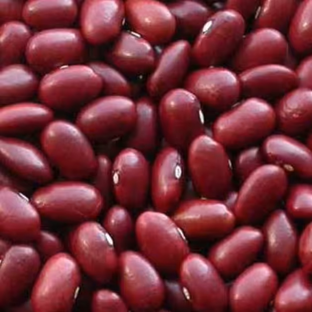لوبیا قرمز ، درجه یک،  زودپز.یک کیلو ، ( حبوبات ) تضمین کیفیت ،تضمین قیمت،