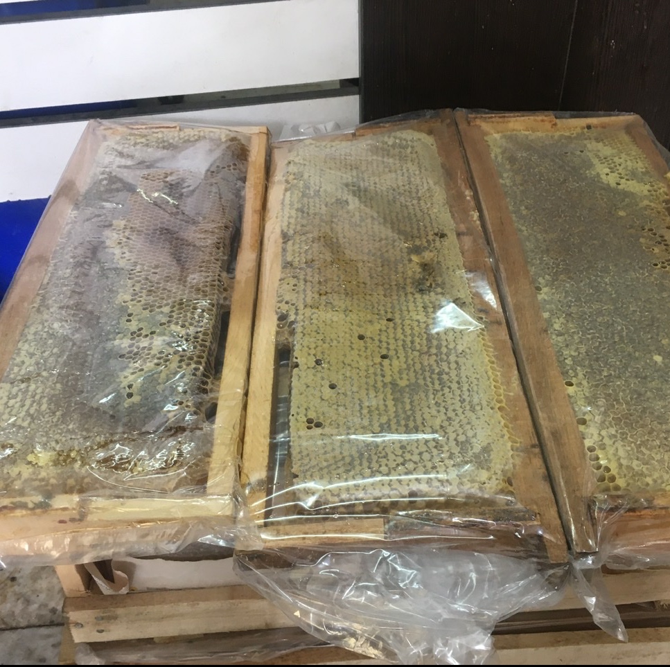 عسل ارگانیک چوبیِ با موم محصول ارگانیک و تخته ای مجموعه (یک کیلوگرم)