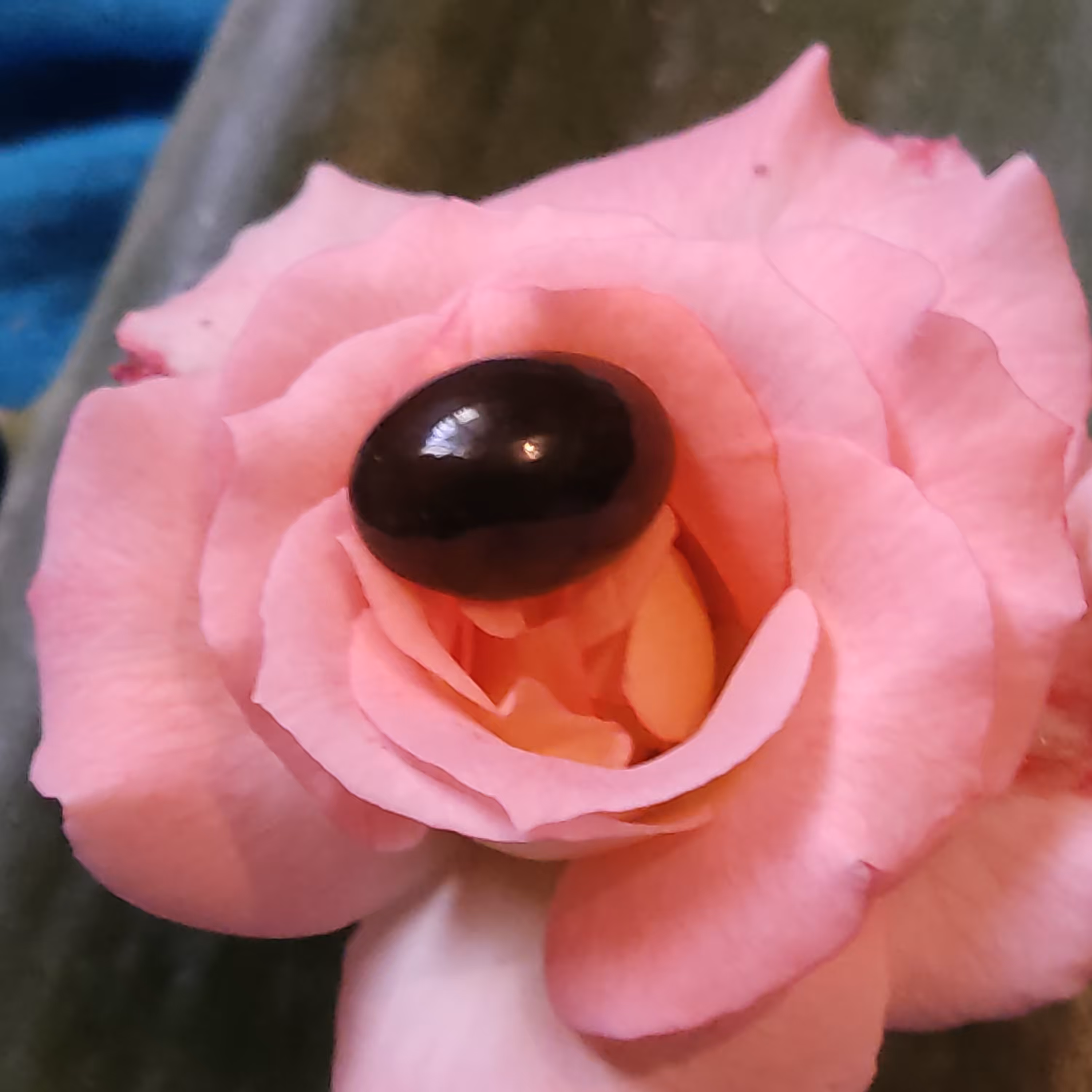 یشم کشمیر کاملا طبیعی وشفاف به قیمت عمده وزیبا همراه با هدیه ویژه