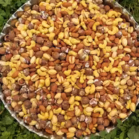 آجیل چهار مغز شور عید 500گرمی ترد و باکیفیت 