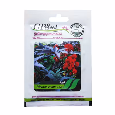 بذر کرچک قرمز