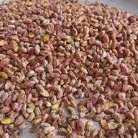قوتو پسته ای گلپونه بسته ی 250 گرمی  .تهیه شده از مغز پسته با کیفیت عالی.کم شکر و کاملا چرب 