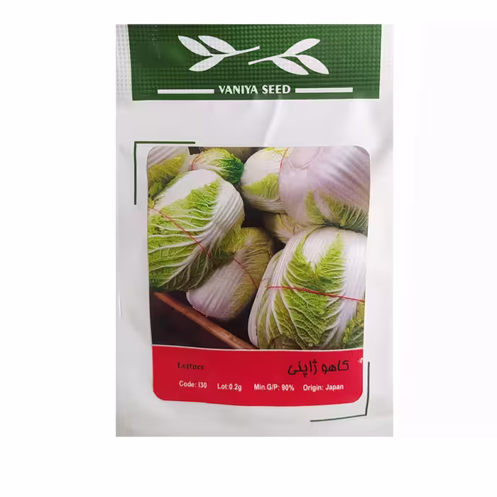 بذر کاهو ژاپنی