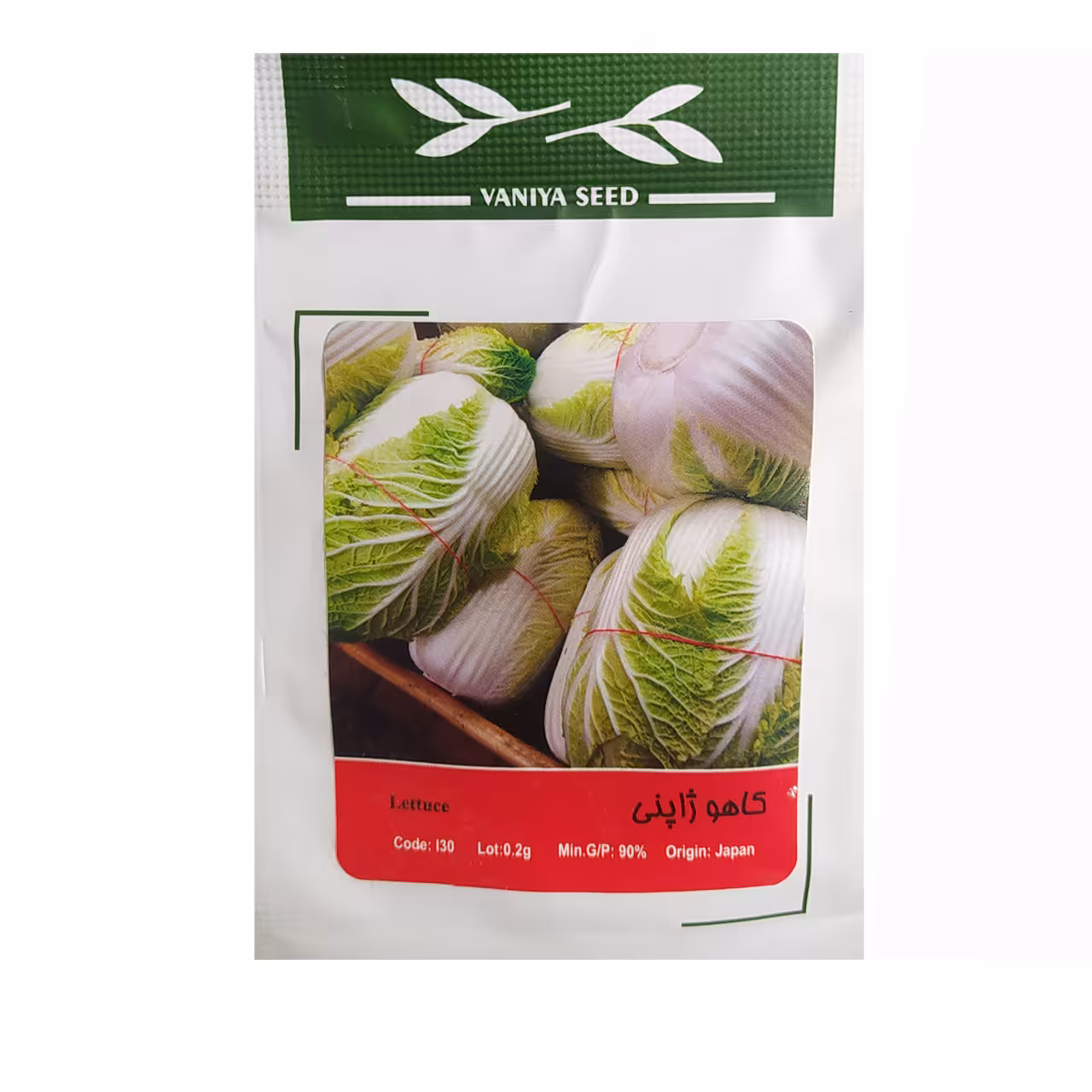 بذر کاهو ژاپنی