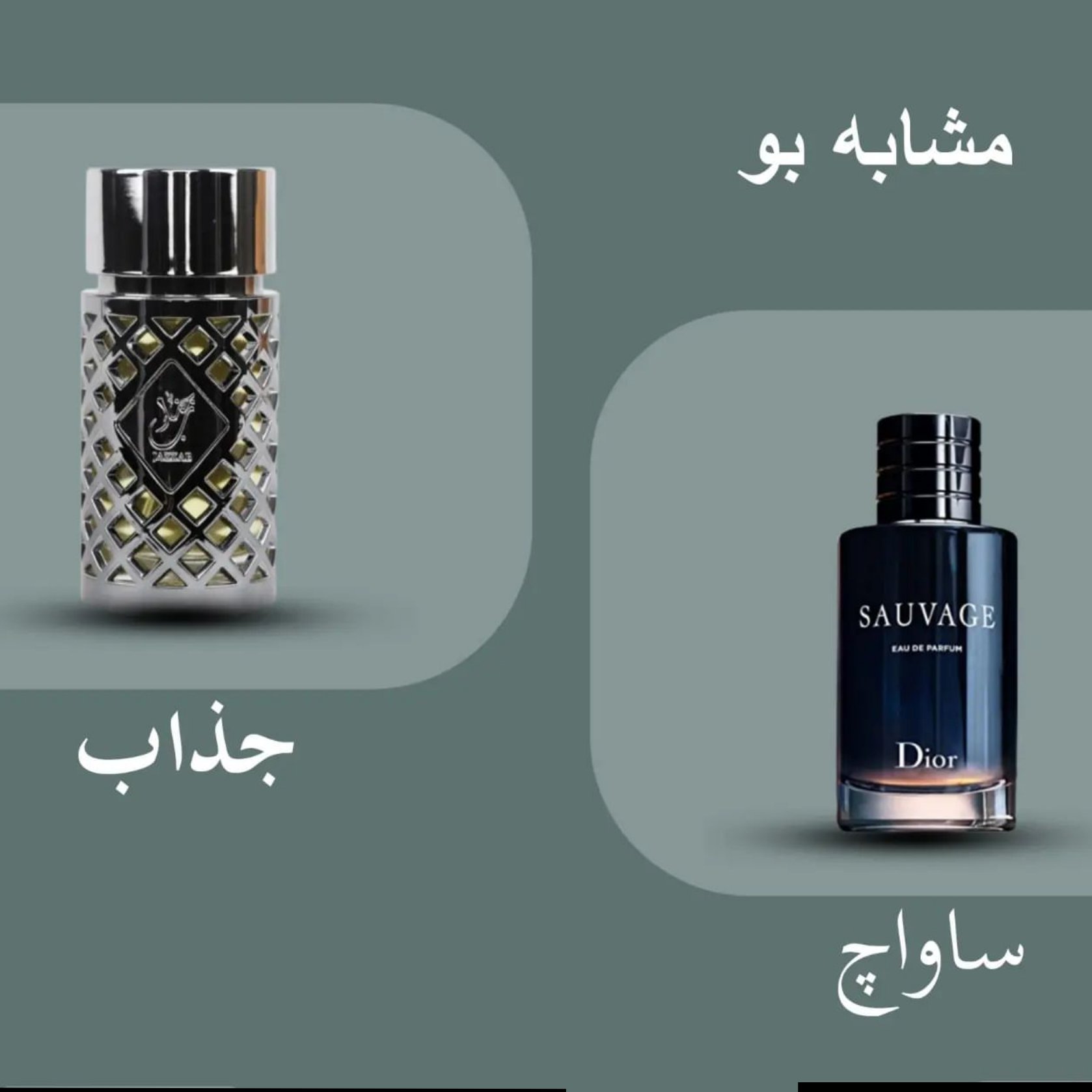 ادکلن جذاب نقره ای مردانه اصلی