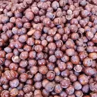 فندق شور با پوست(1کیلو گرمی)