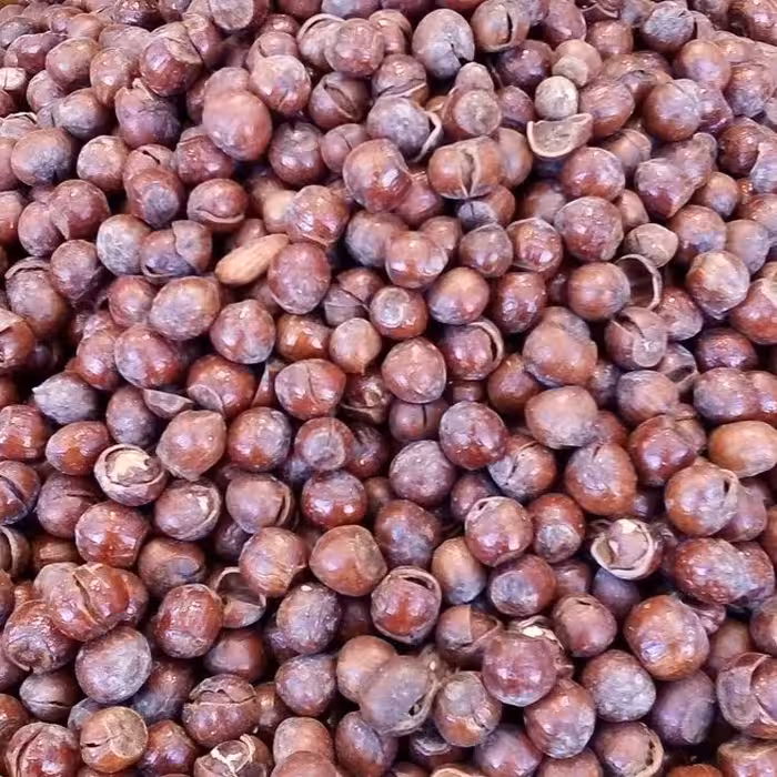 فندق شور با پوست(1کیلو گرمی)