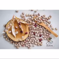 لوبیا چیتی درجه یک تازه چین ، بسته 1 کیلویی