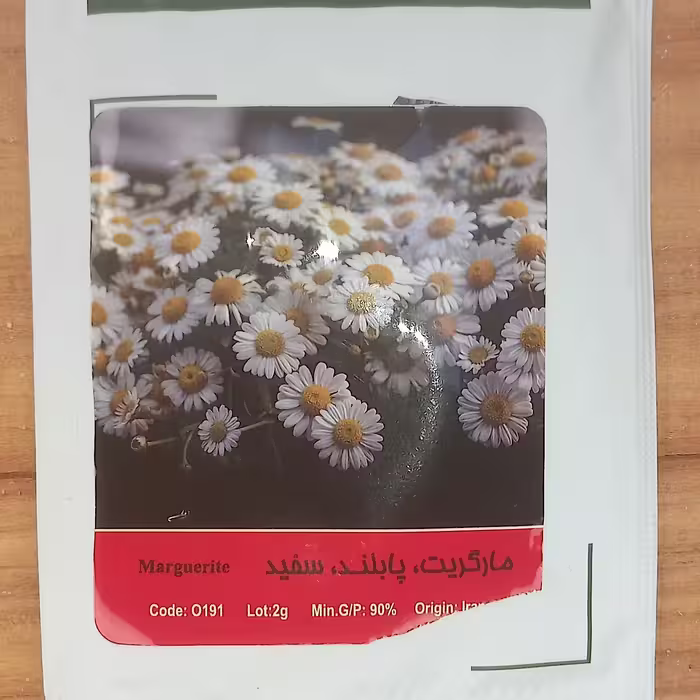 بذر گل مارگریت