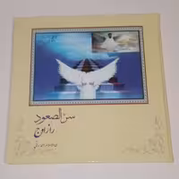 راز اوج شهید حججی