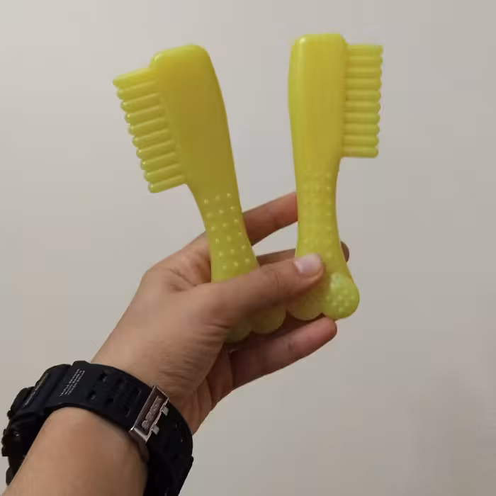 دندونی حیوانات مدل مسواک 