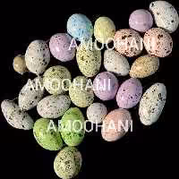 دراژه بلدرچین آچاچی