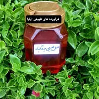 عسل طبیعی چند گیاه( فراورده های طبیعی ایلیا )